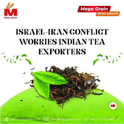 Israel's attack on Iran leaves India's tea exporters worried