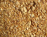 Soybean Meal