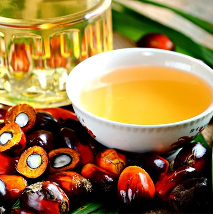 Palm Oil