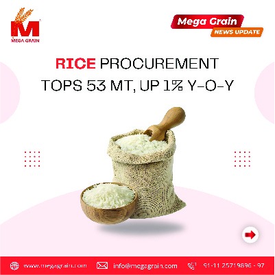 Rice procurement tops 53 mt, up 1% y-o-y