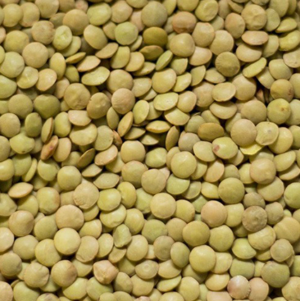 Green Lentils