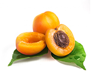 Apricot